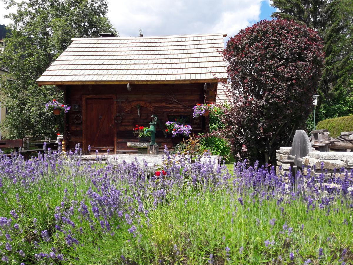 Hotel Stegmuehlhof Mauterndorf  Kültér fotó